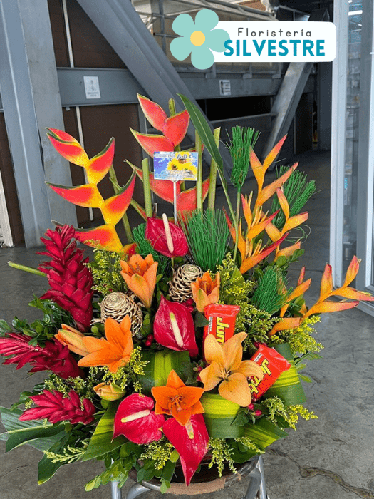 Arreglo Floral con Heliconias, Aves del Paraíso + Cerveza
